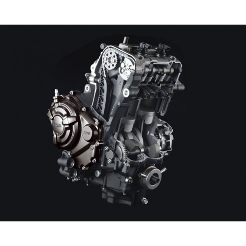 689cc parallel twin