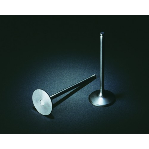 Titanium valves